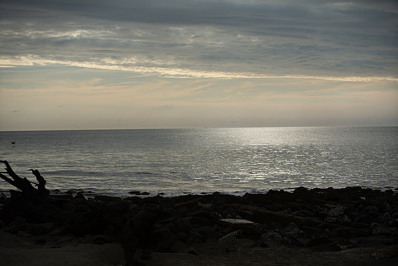 _CES0736