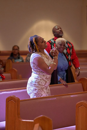 FGT-COGIC-0035