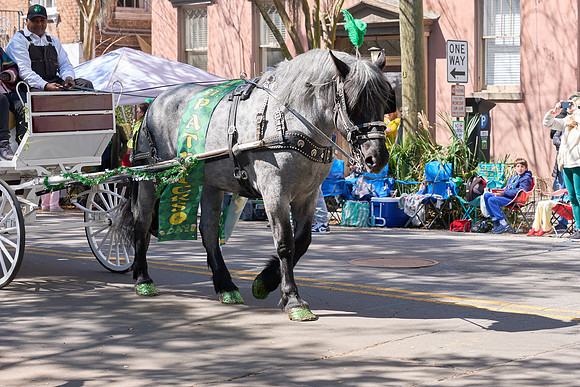 202nd-St-Patricks-Day-Parade-350