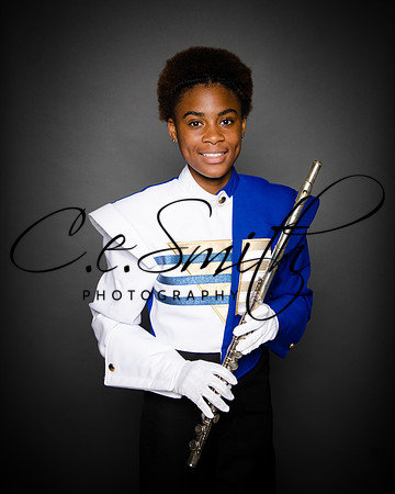 BI Tiger Band-1