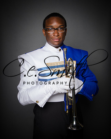 BI Tiger Band-2
