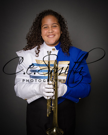BI Tiger Band-5