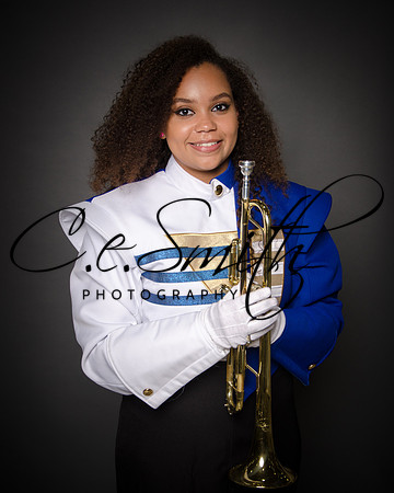 BI Tiger Band-6