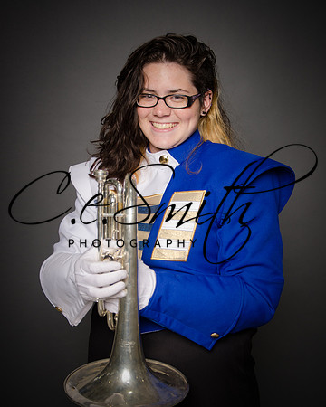 BI Tiger Band-7