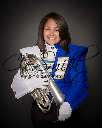 BI Tiger Band-8