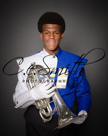 BI Tiger Band-10