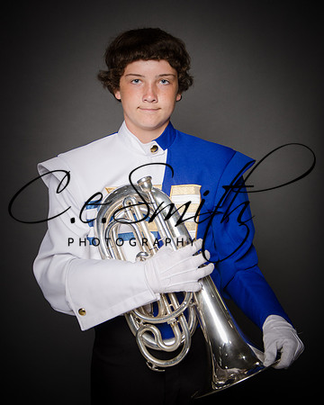 BI Tiger Band-12