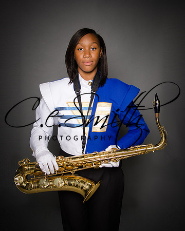 BI Tiger Band-14