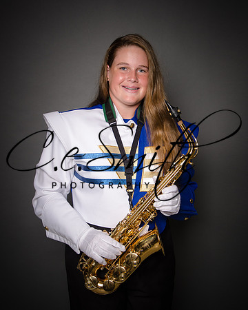 BI Tiger Band-15