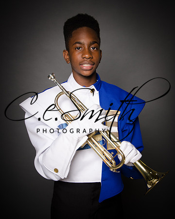 BI Tiger Band-17