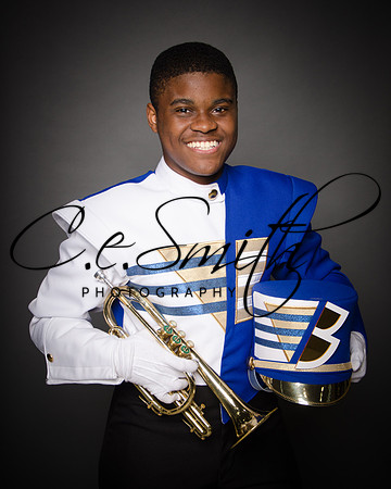 BI Tiger Band-19