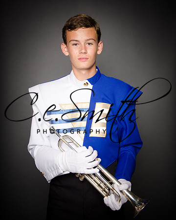 BI Tiger Band-20