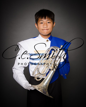 BI Tiger Band-21
