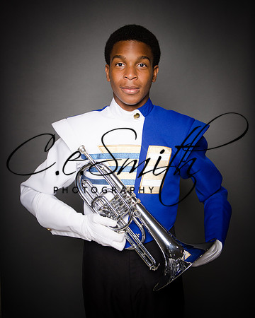 BI Tiger Band-22