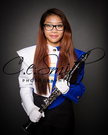 BI Tiger Band-23