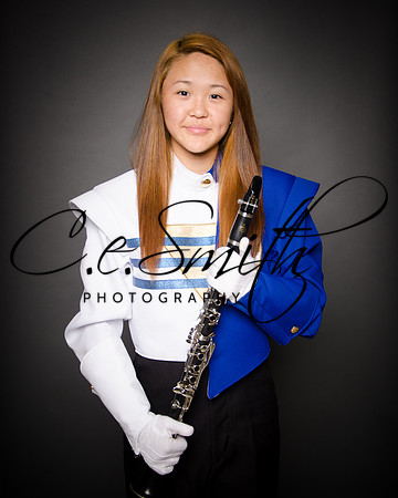 BI Tiger Band-24