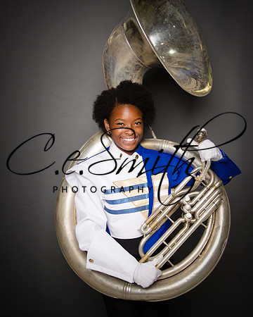BI Tiger Band-25
