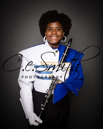 BI Tiger Band-26