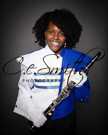 BI Tiger Band-27