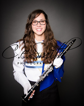 BI Tiger Band-28