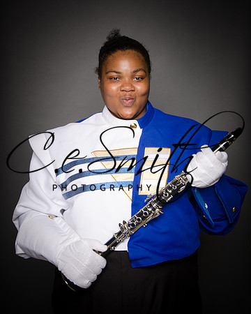 BI Tiger Band-31