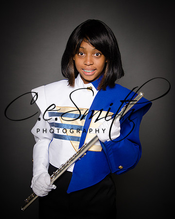 BI Tiger Band-32