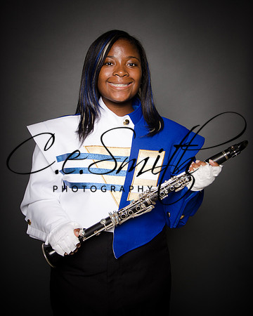 BI Tiger Band-33