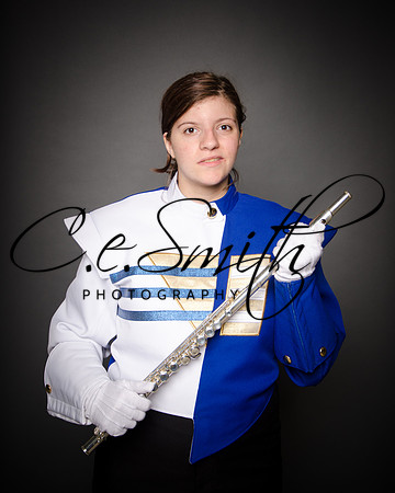 BI Tiger Band-34