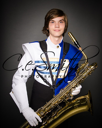 BI Tiger Band-38
