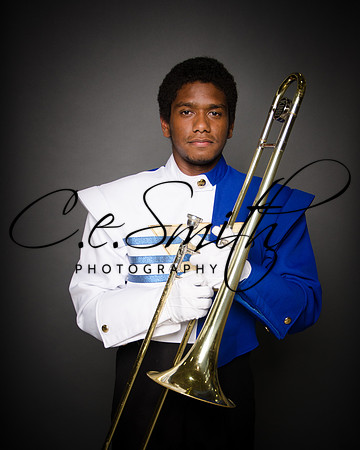 BI Tiger Band-39