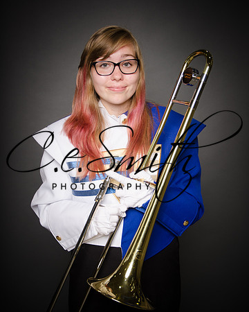 BI Tiger Band-40