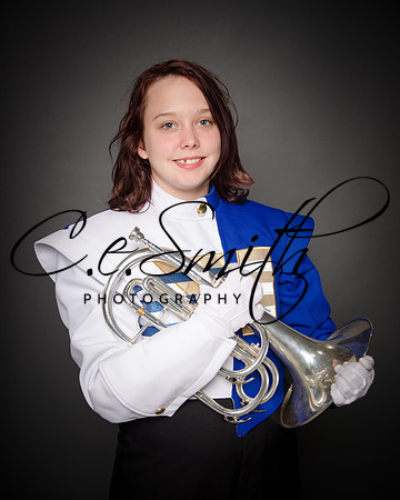 BI Tiger Band-41