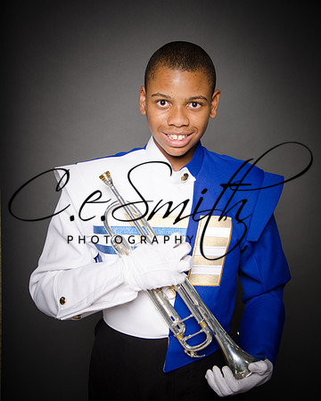 BI Tiger Band-42