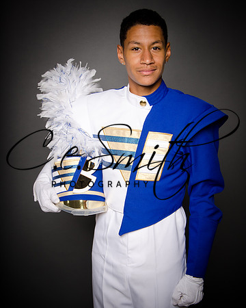 BI Tiger Band-44