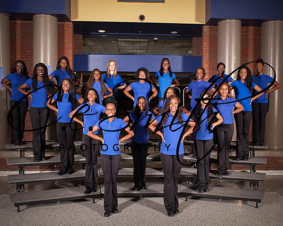 BI Tiger Band-46