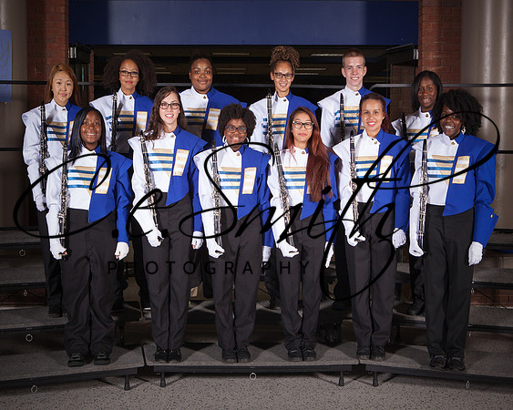 BI Tiger Band-47