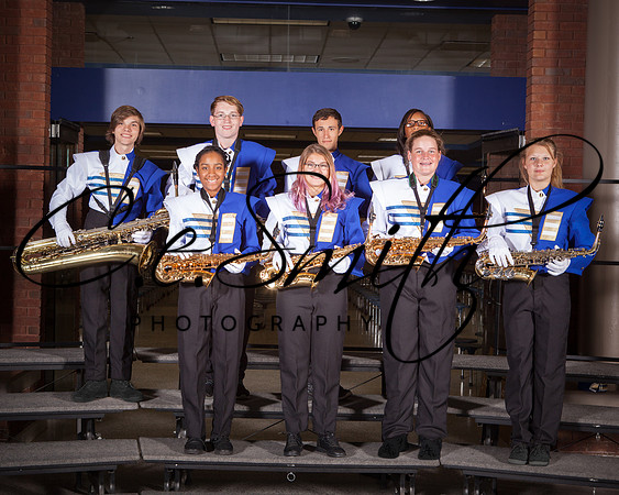 BI Tiger Band-48