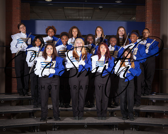 BI Tiger Band-49