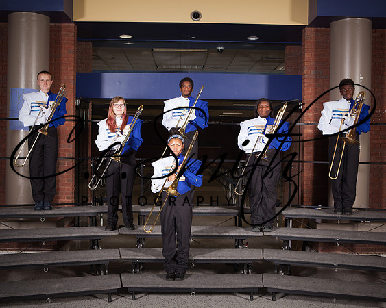 BI Tiger Band-51