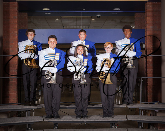 BI Tiger Band-54