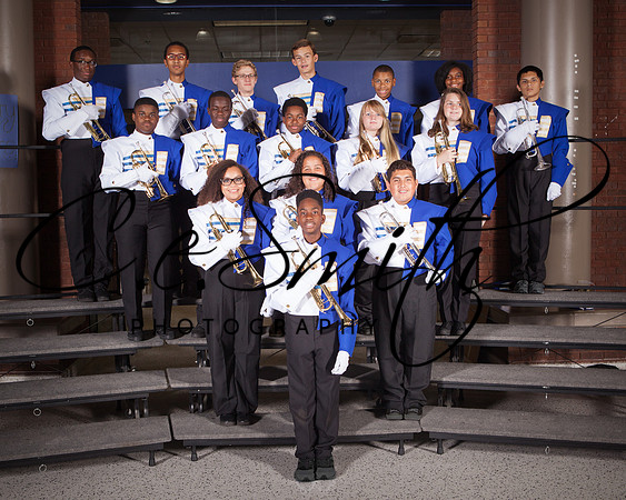 BI Tiger Band-55