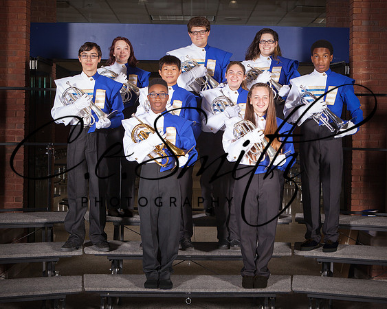 BI Tiger Band-56