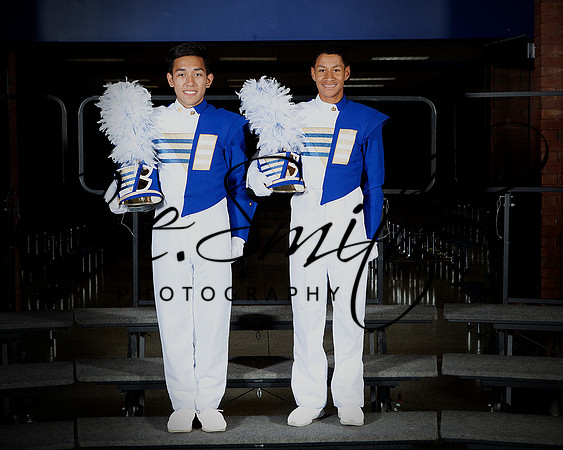 BI Tiger Band-57