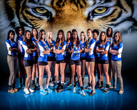 School - BI Girls Volleyball