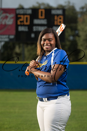 BI Senior Tigers-4