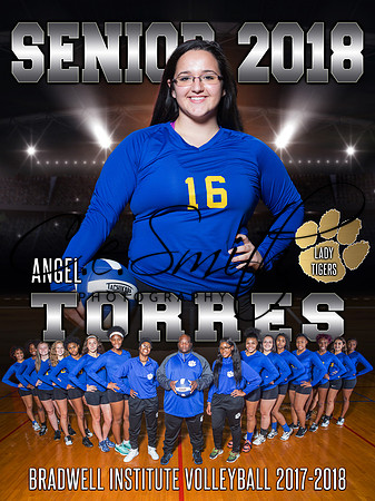 BI VB Senior - Angel Torres-1
