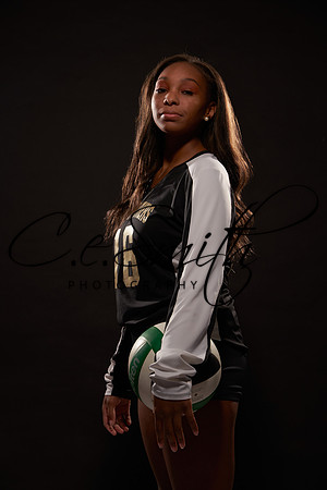 LCHS-VB20_2020-LCHS-Volleyball-Seniors_02014