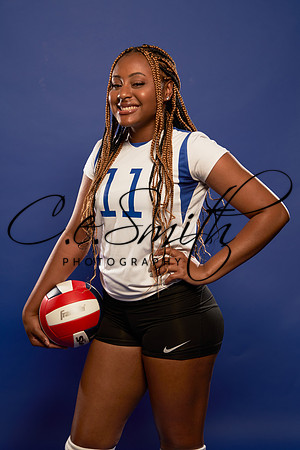 Bradwell Institute Volleyball Team02491