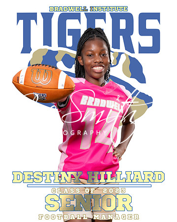 PlayerBanner_Destiny-Hilliard (8x10)